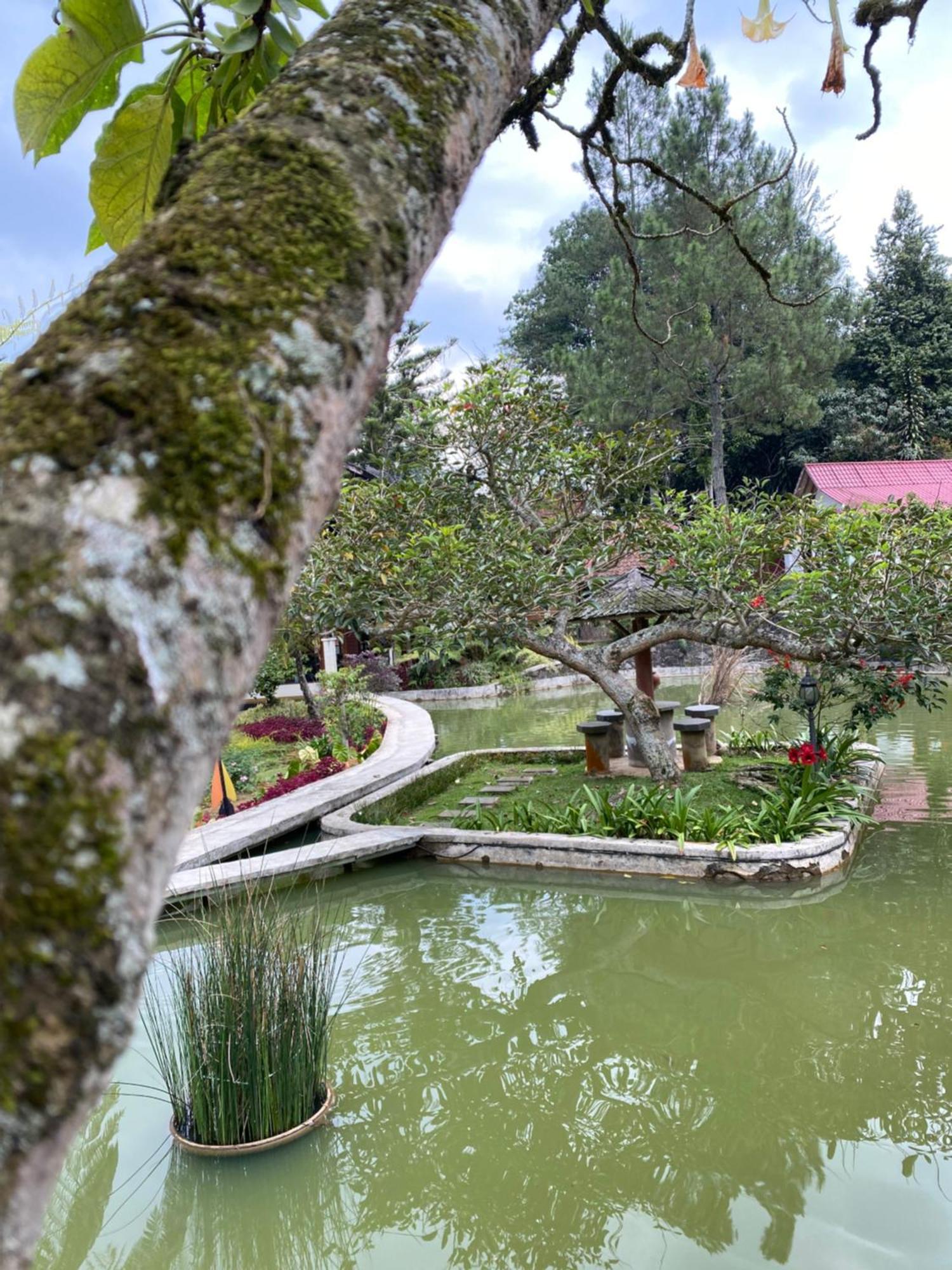 Palalangon Villa *